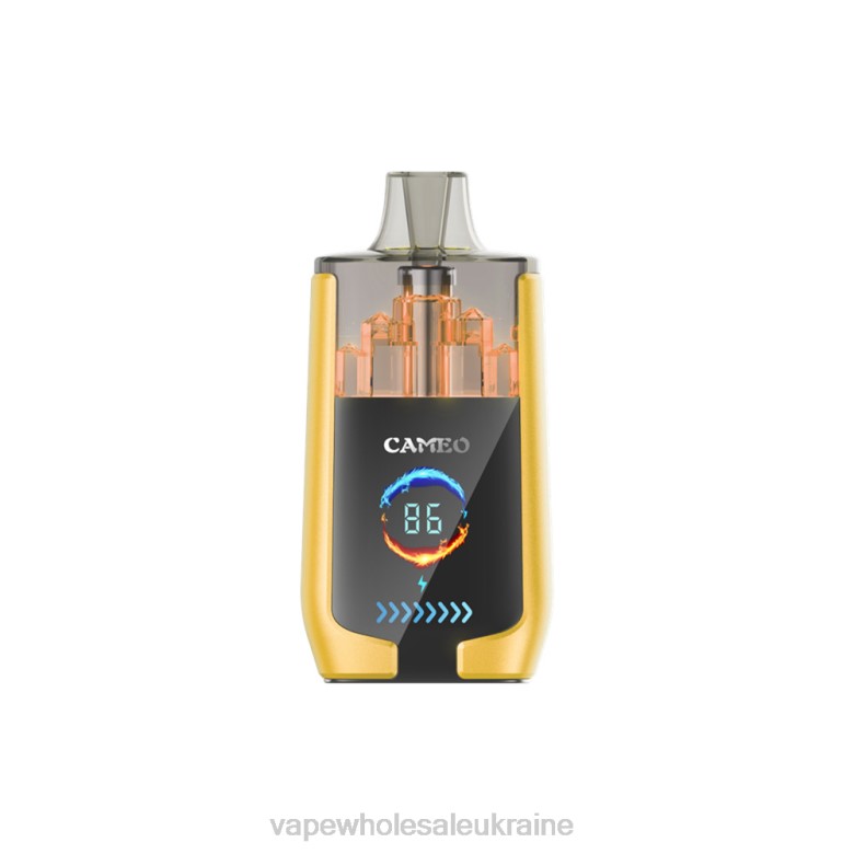 Vape Wholesale Ukraine - LAVIE CAMEO 30000 затяжок H24621 манговий лід