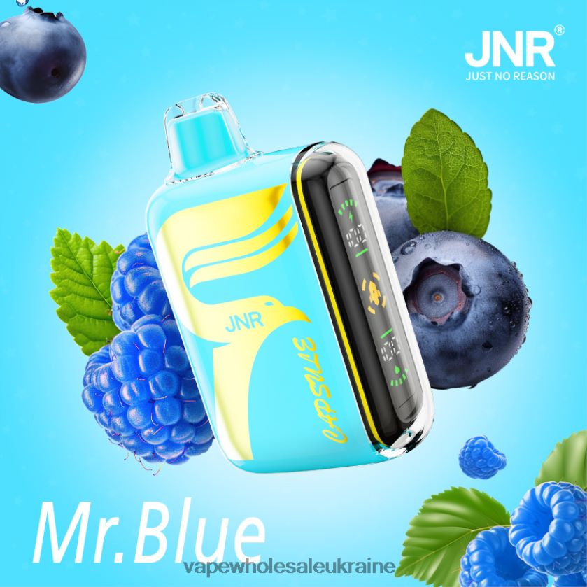 Вейп Украина Купить mr.blue NDN6FT606 JNR CAPSULE